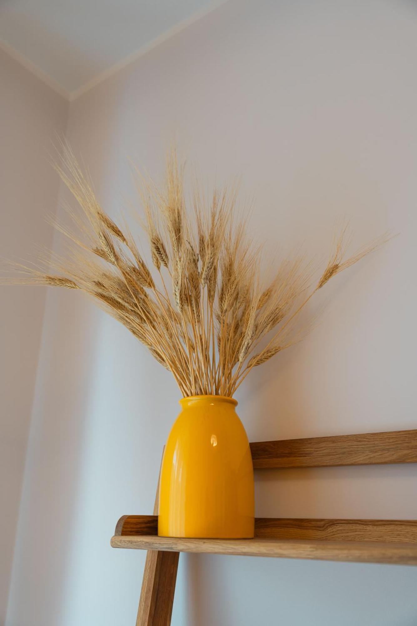 Hotel Noi 2 Nel Cilento Agropoli Zewnętrze zdjęcie